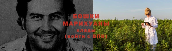 спиды Бородино