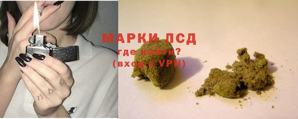 индика Бугульма