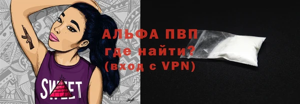 спиды Бородино