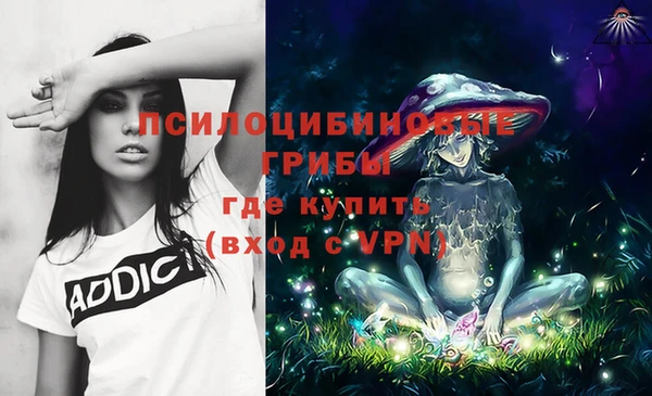 индика Бугульма