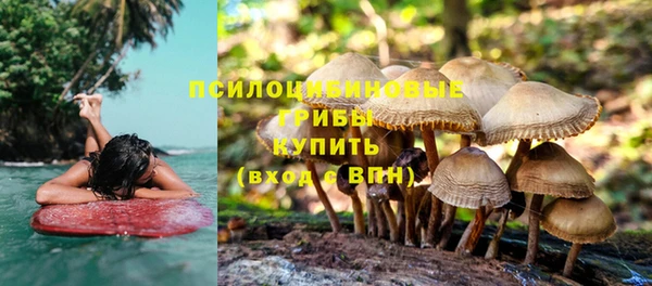 спиды Бородино