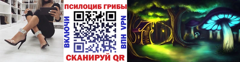 Галлюциногенные грибы Psilocybe  Купить  Кольчугино 